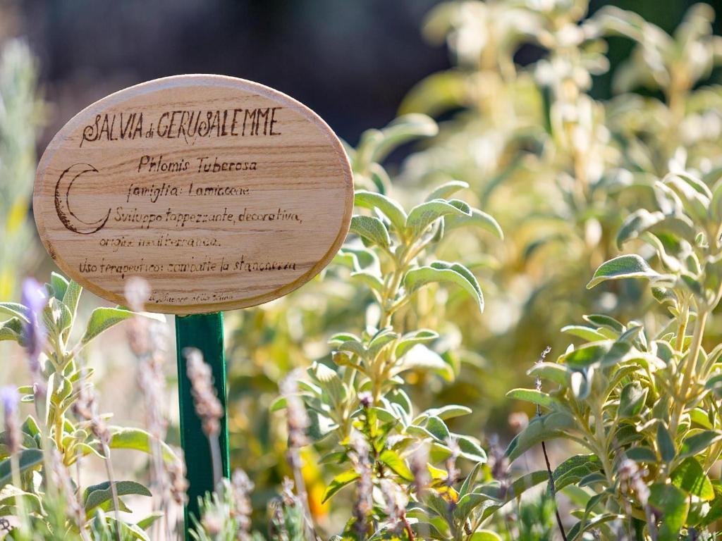 Agriturismo Il Sapore Della Luna Monteprandone Exterior photo